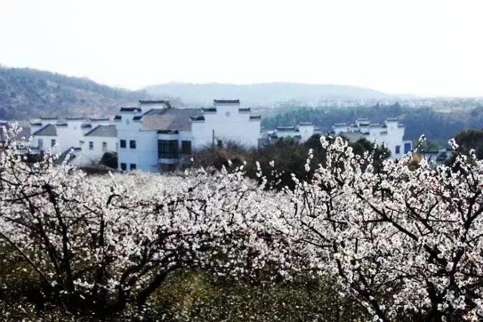 冀峰任陕西省科学技术厅副厅长