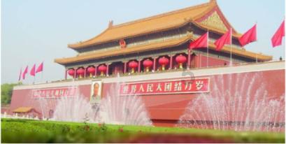 救援受困的长颈鹿