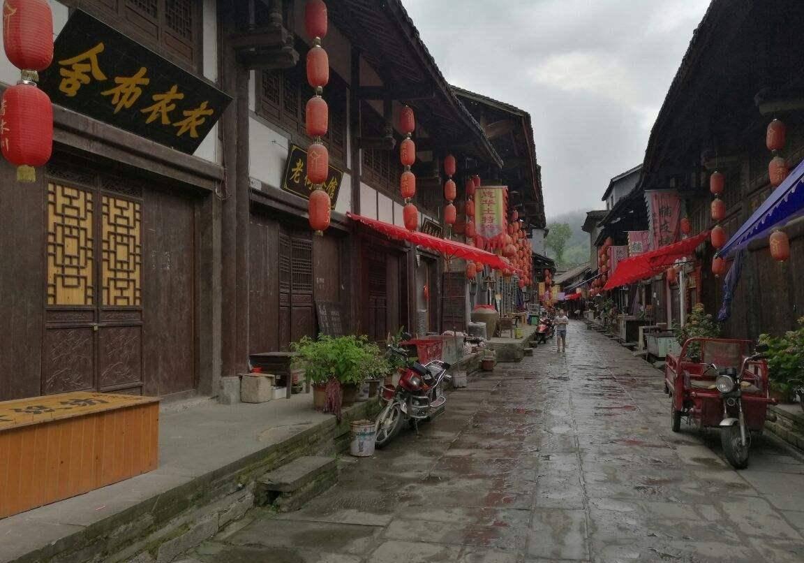 猫猫冒险团
